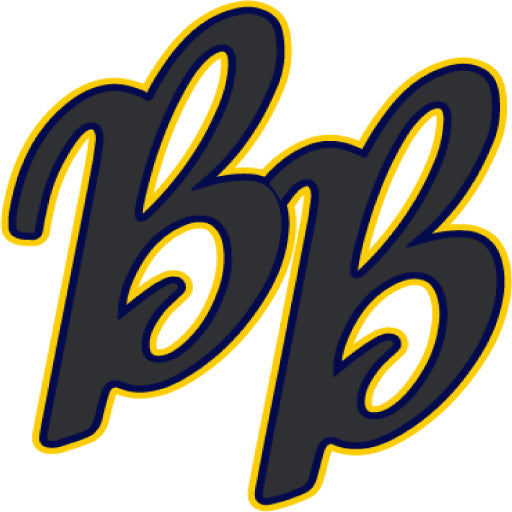 BB Sports Training